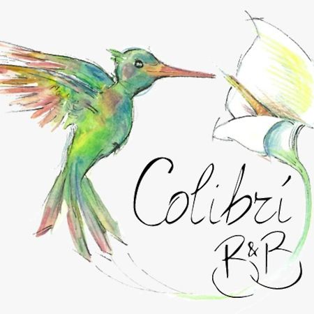 Colibri B&B 취아카 외부 사진