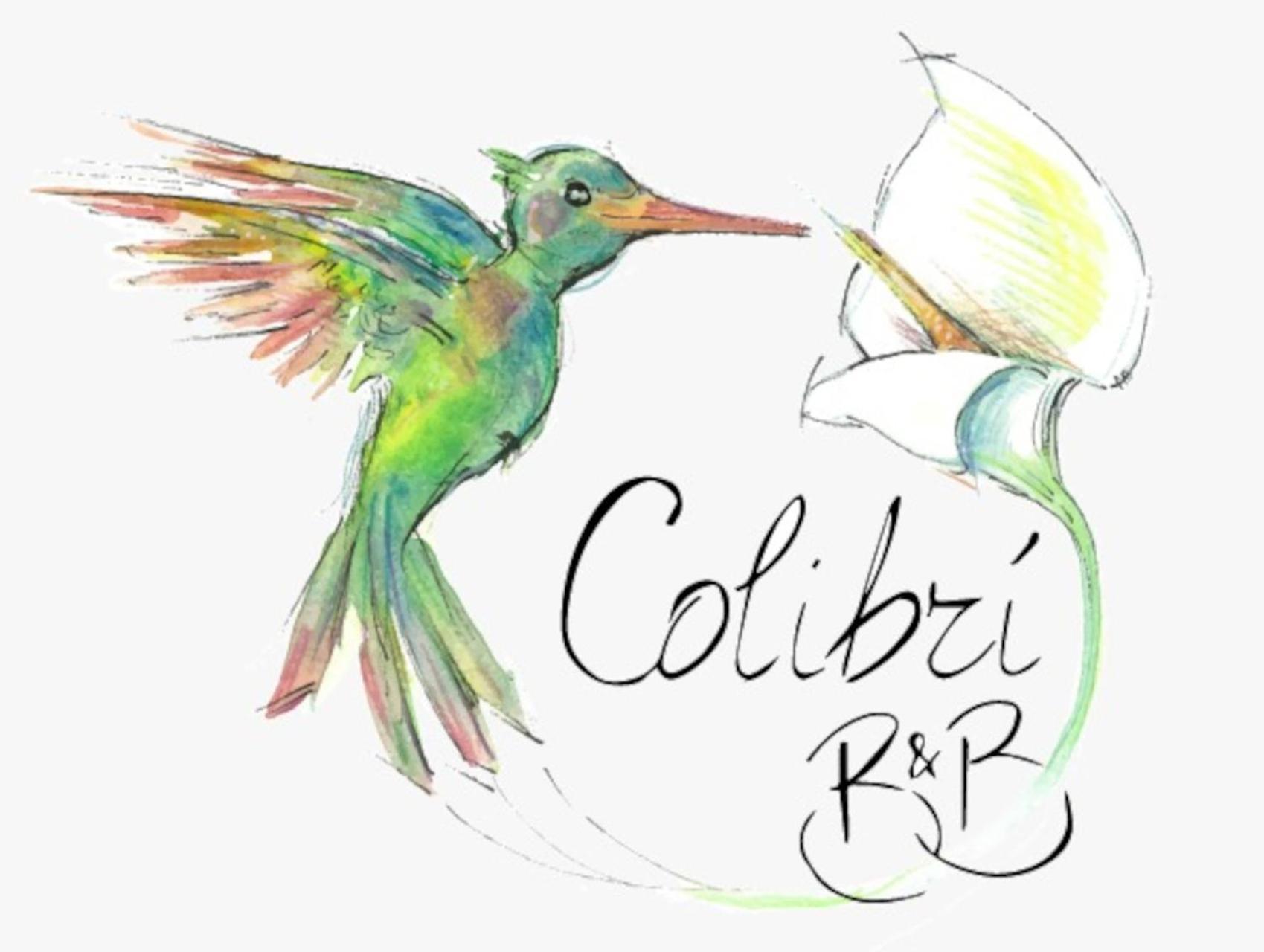 Colibri B&B 취아카 외부 사진